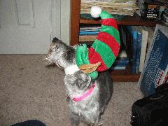 Heather 2006 - IMG_2171.jpg Heather 2006 - IMG_2171.jpg